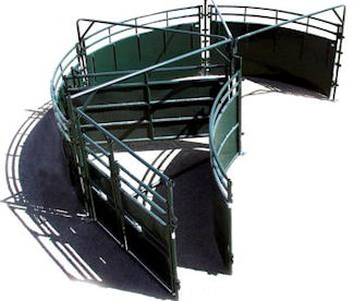 picture1